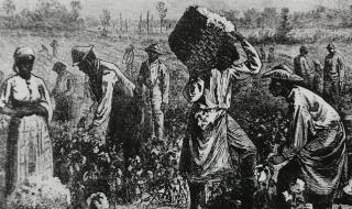 厄立特里亚人口面积 厄立特里亚人口面积